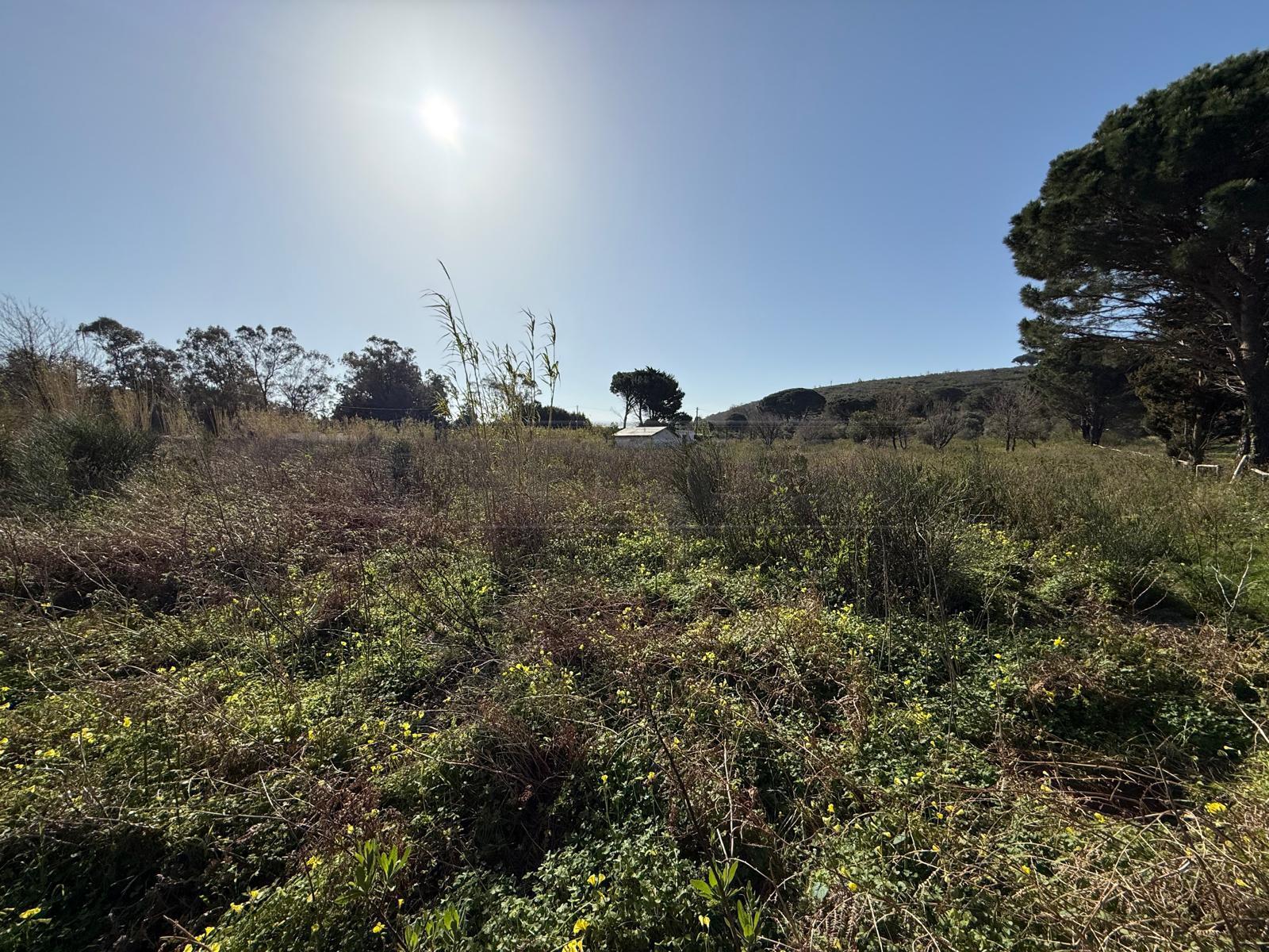Terreno Agricolo in vendita in contrada campi, Messina