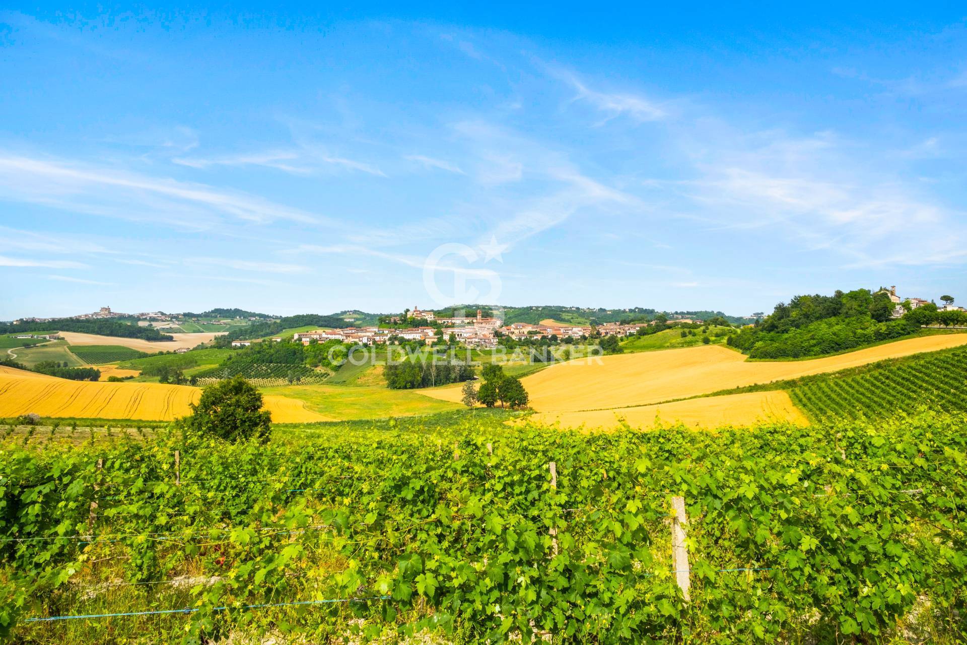 Villa in vendita a Sala Monferrato