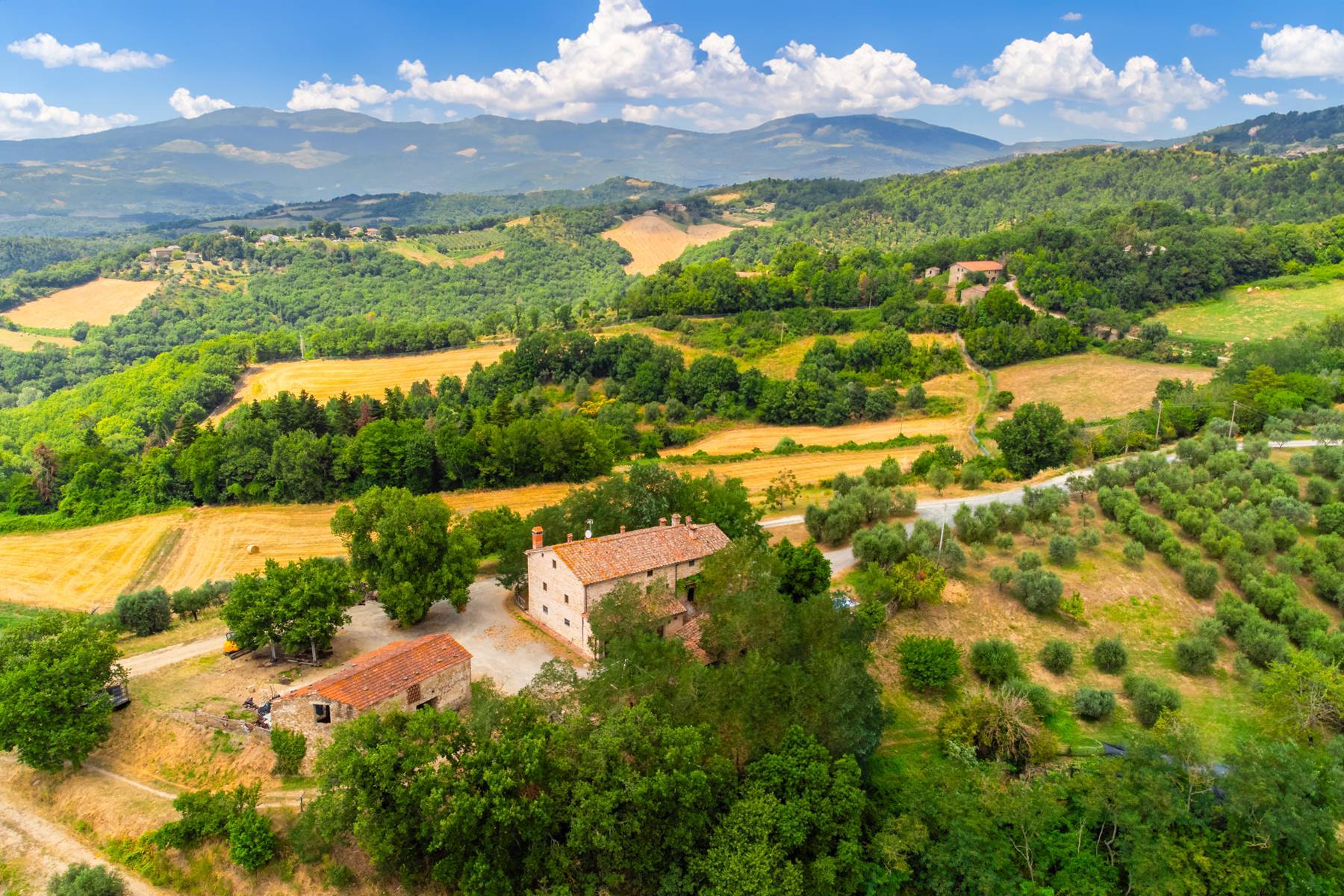 immagine annuncio 7 di 10