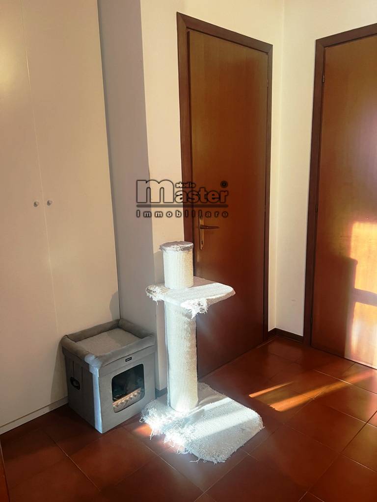 Miniappartamento in affitto a Treviso, S. Bona