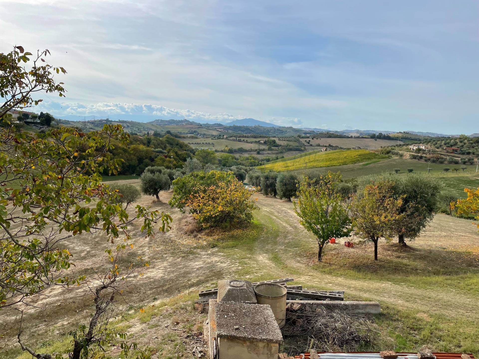 immagine annuncio 1 di 6