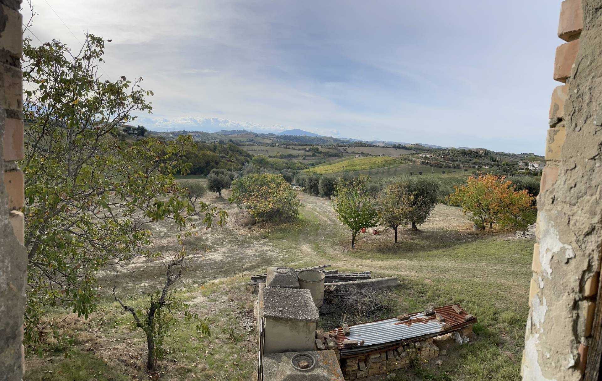 immagine annuncio 3 di 6