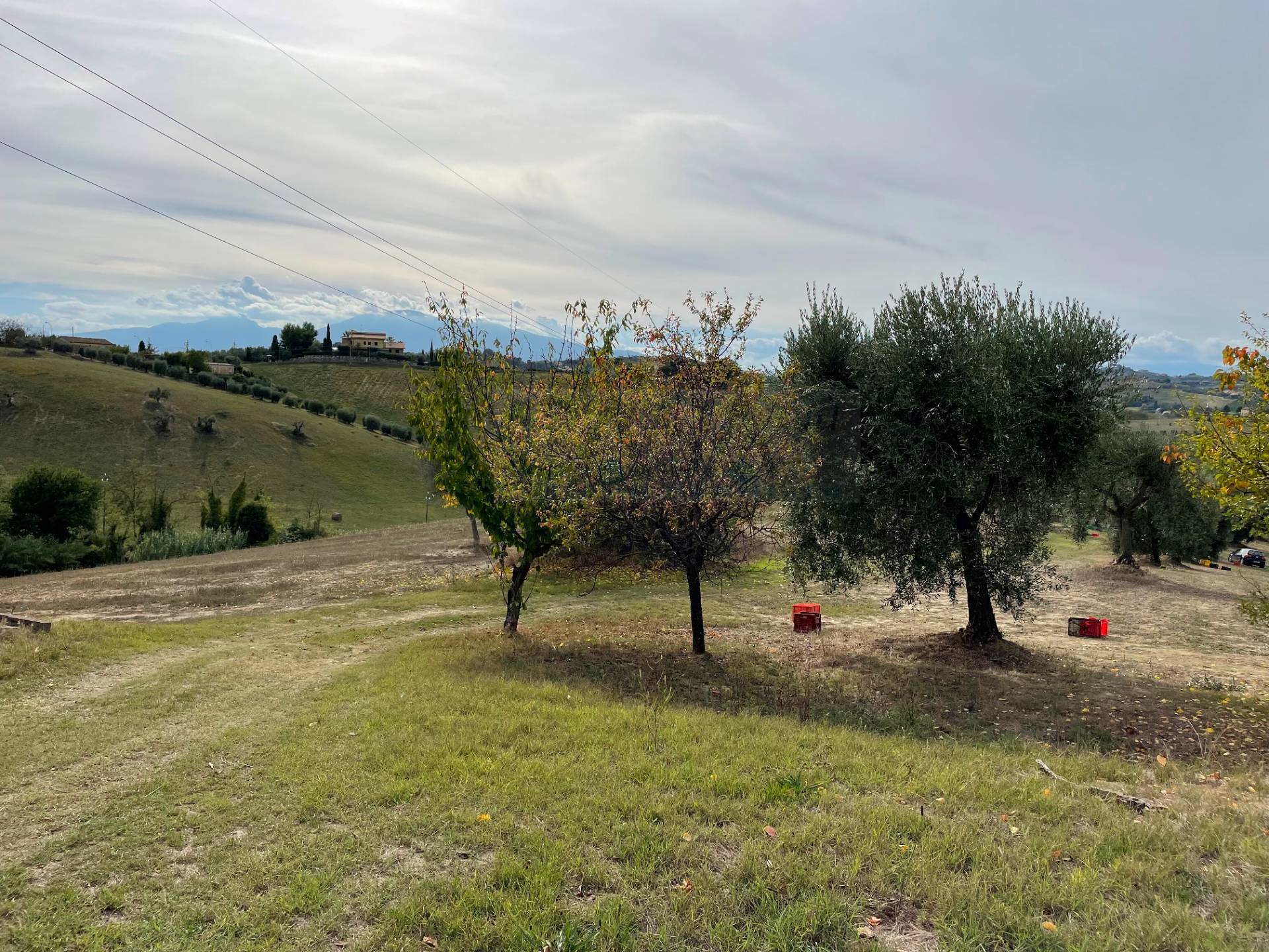 immagine annuncio 5 di 6