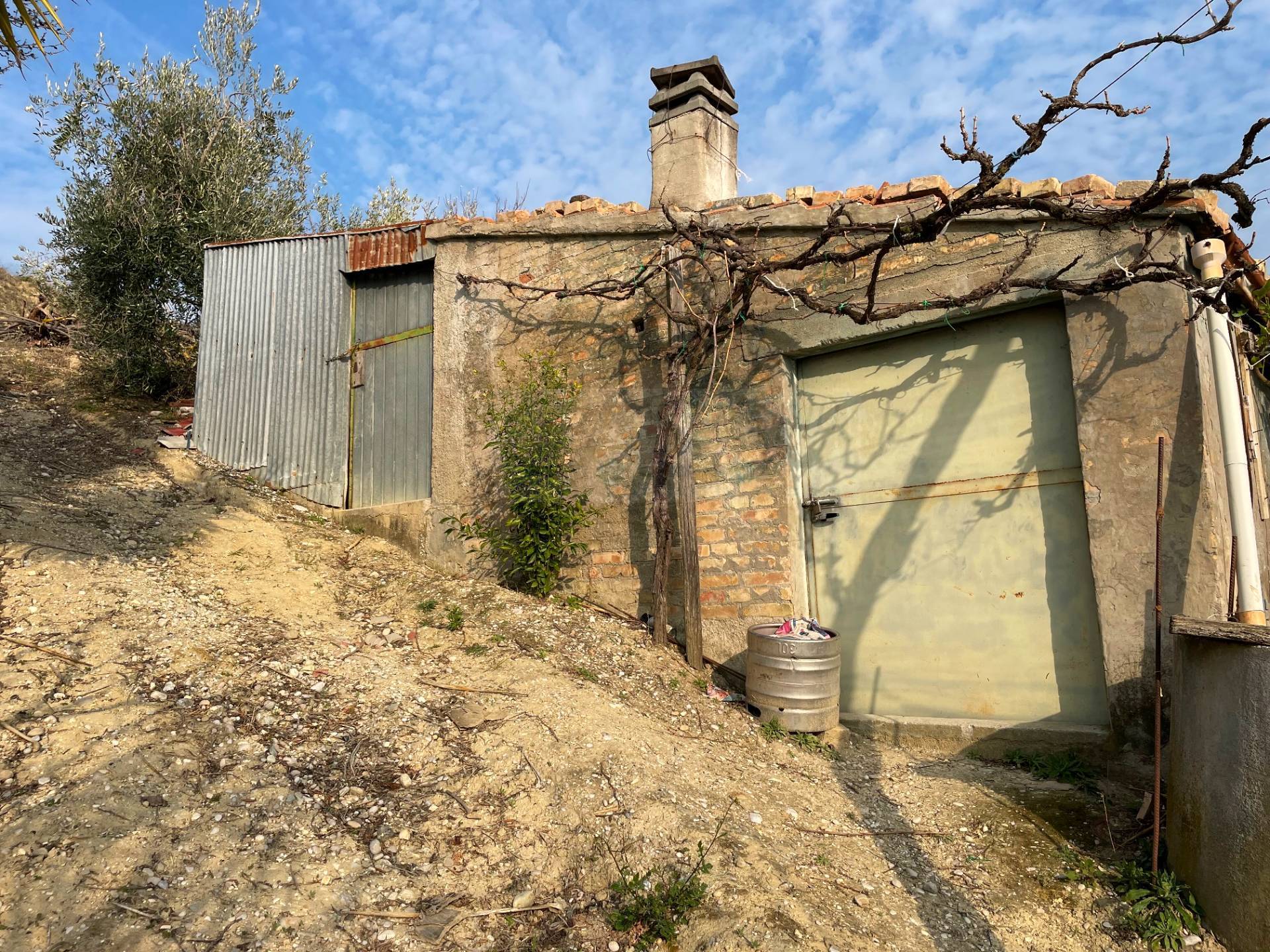immagine annuncio 4 di 6