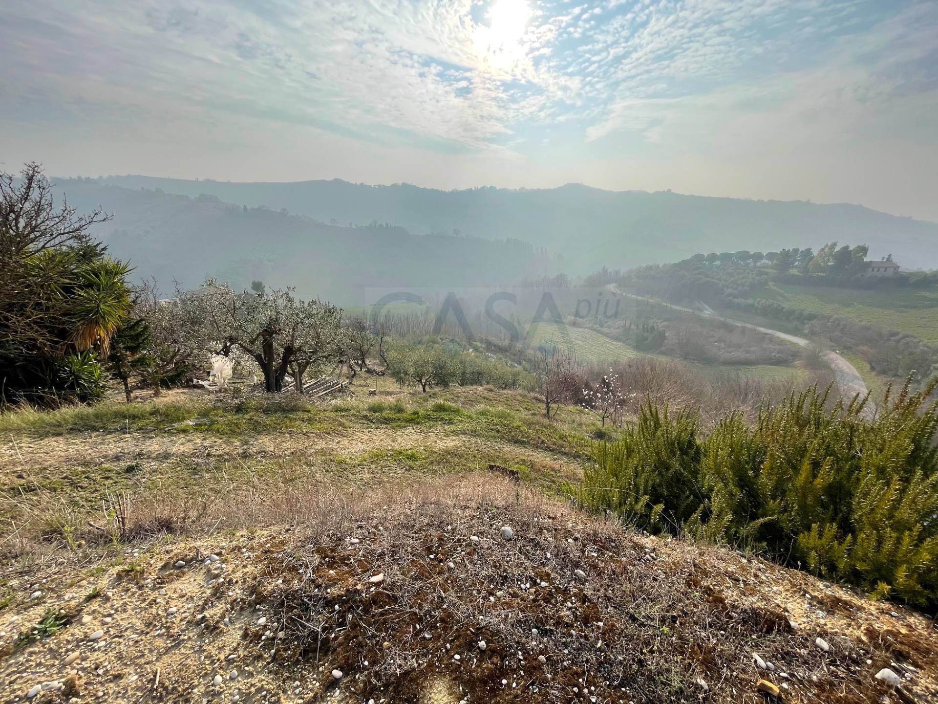 immagine annuncio 6 di 9