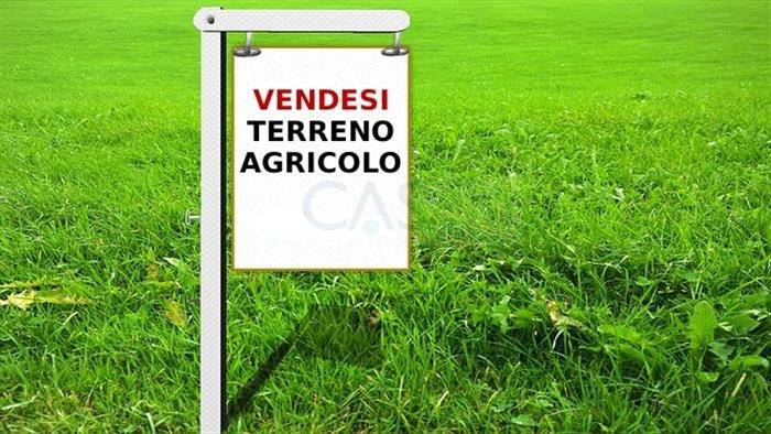 Terreno Agricolo in vendita a Ripatransone