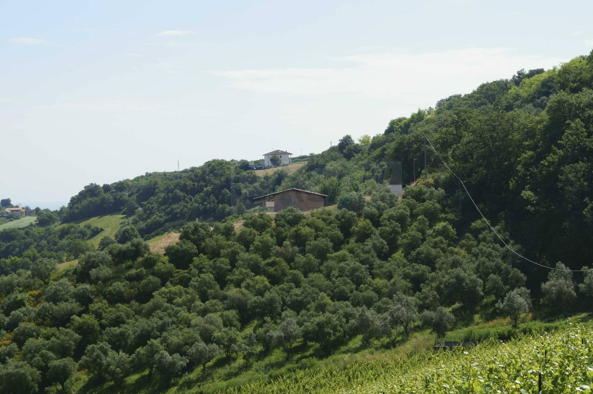 Villa in vendita a Montefiore dell'Aso