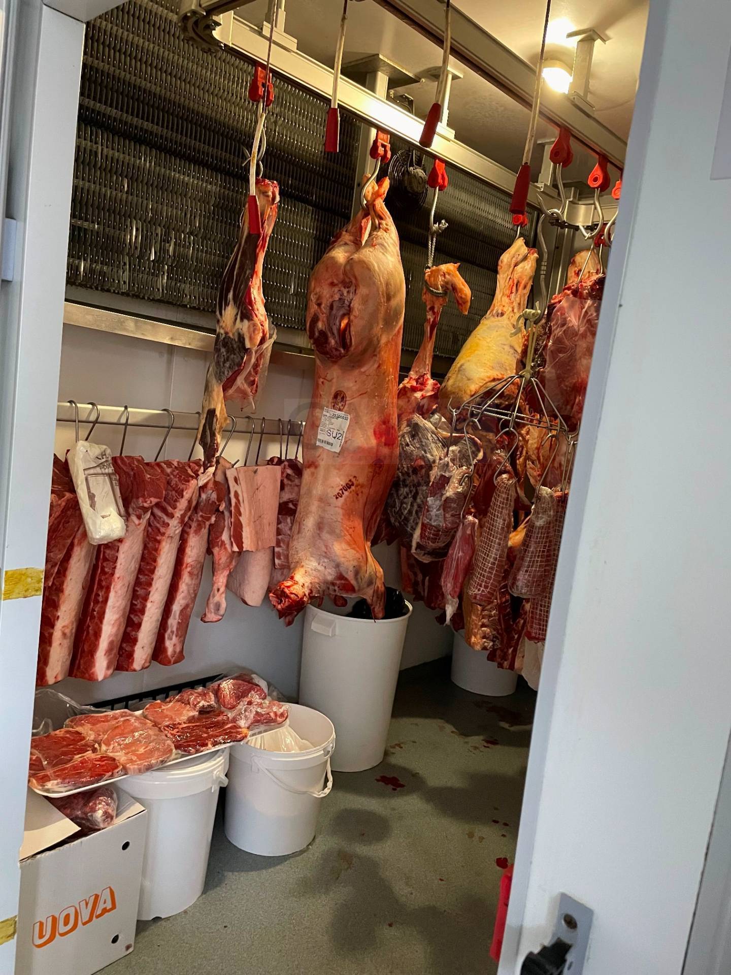 immagine annuncio 2 di 10