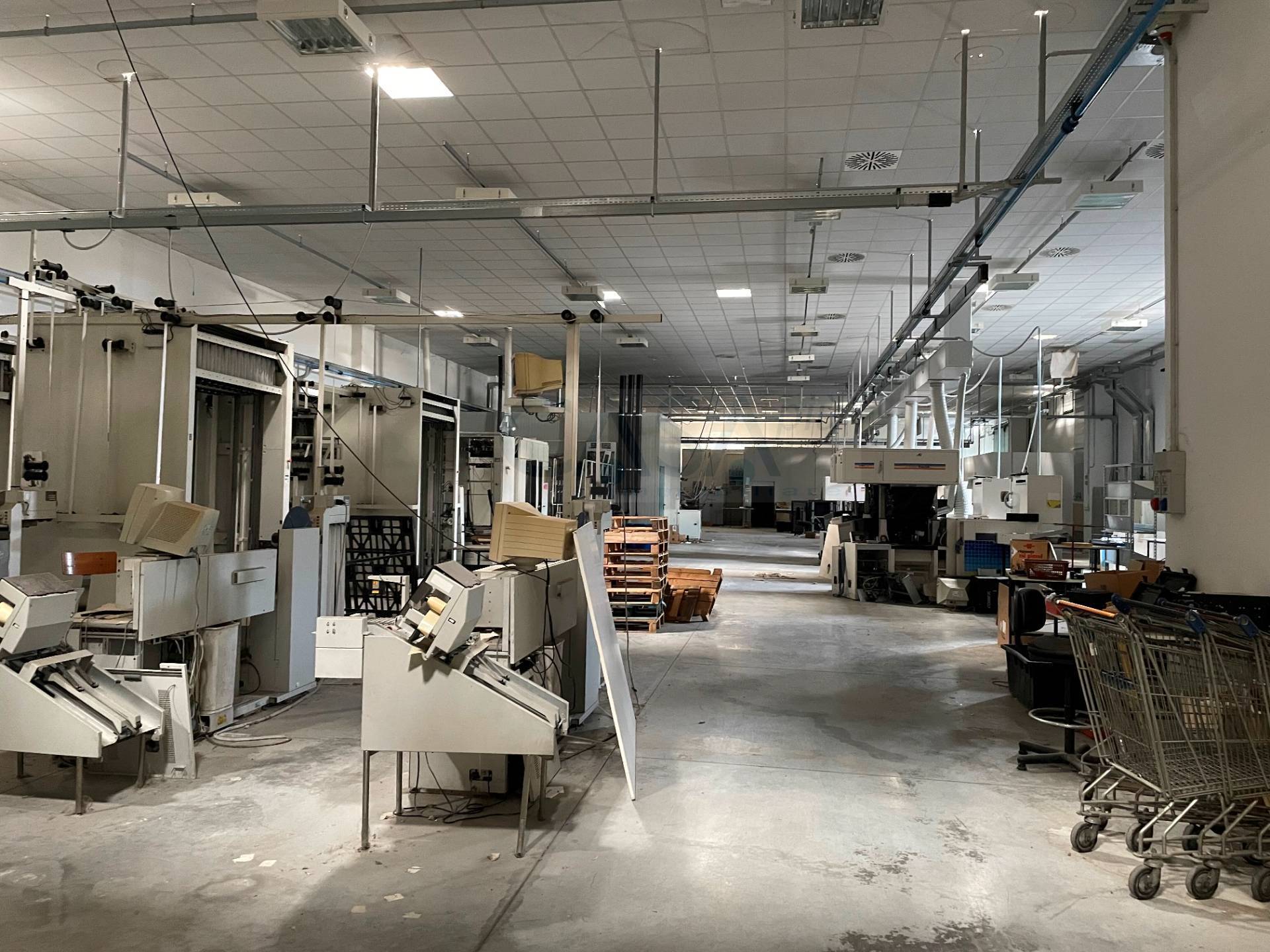 Capannone in affitto a Controguerra