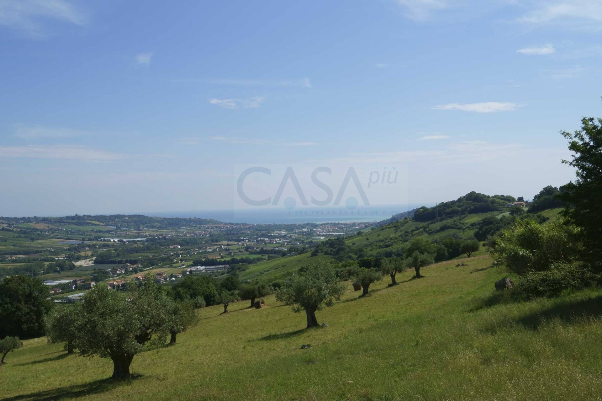 Villa in vendita a Montefiore dell'Aso