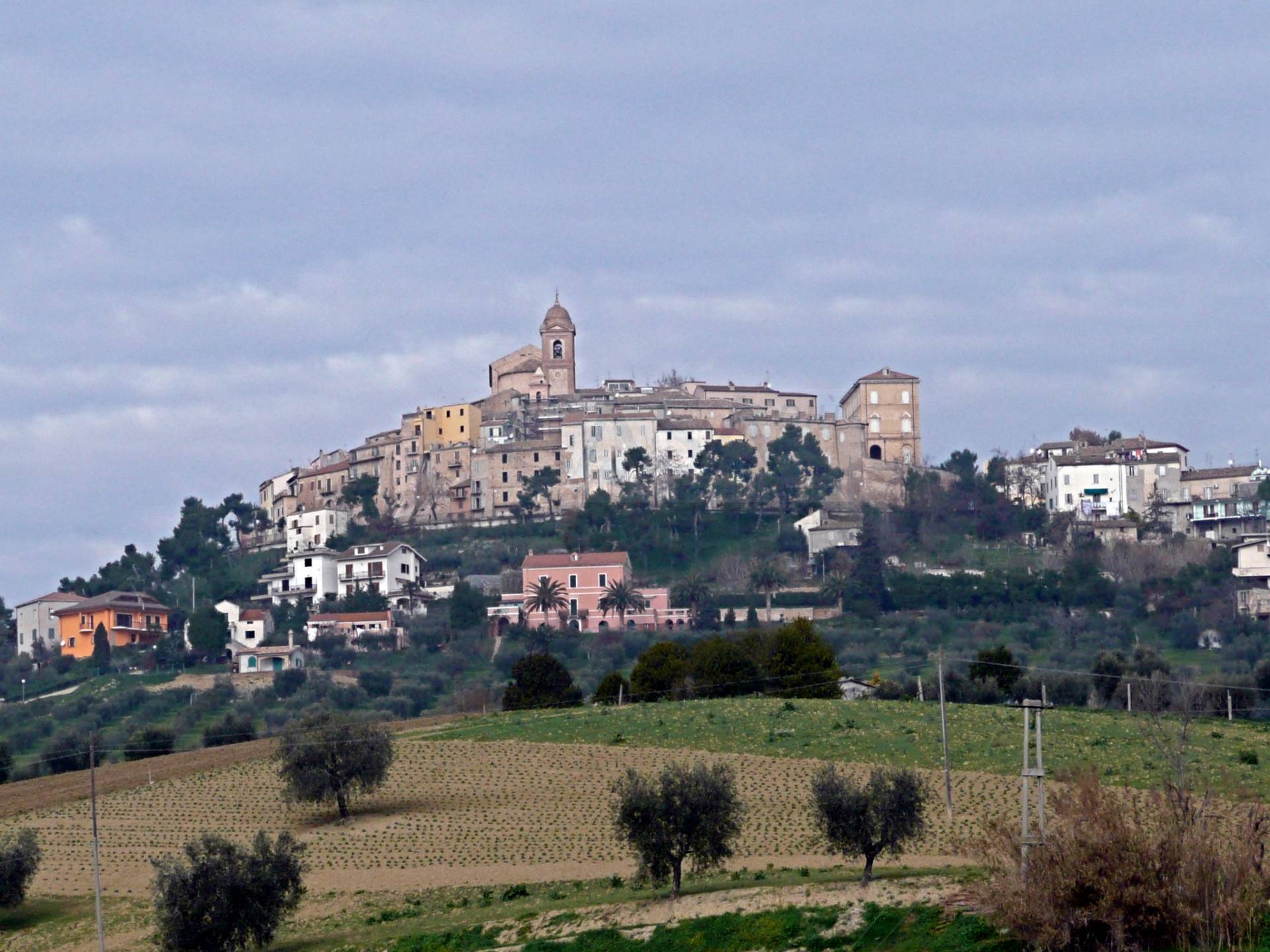 immagine annuncio 2 di 4