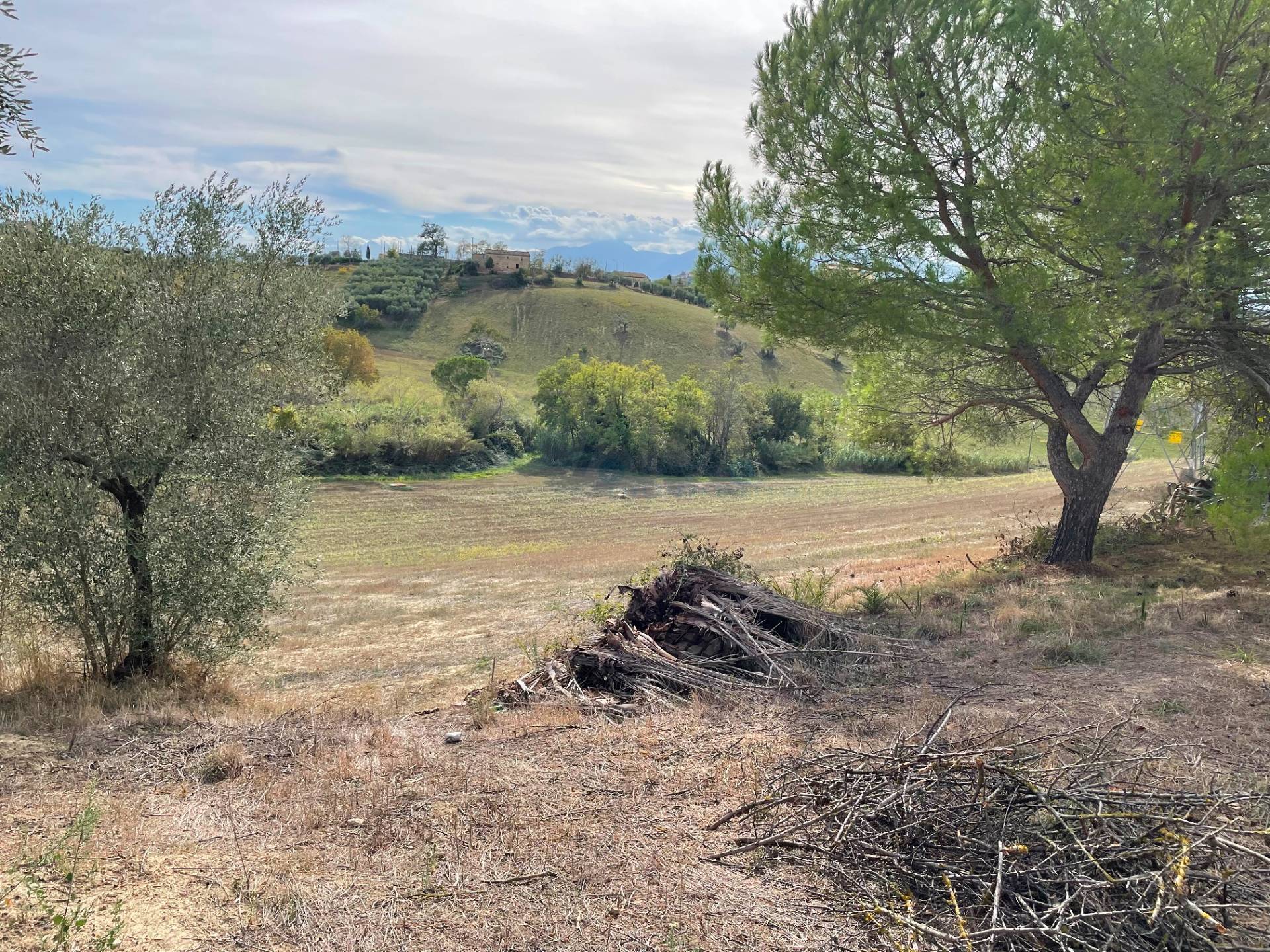 immagine annuncio 4 di 9