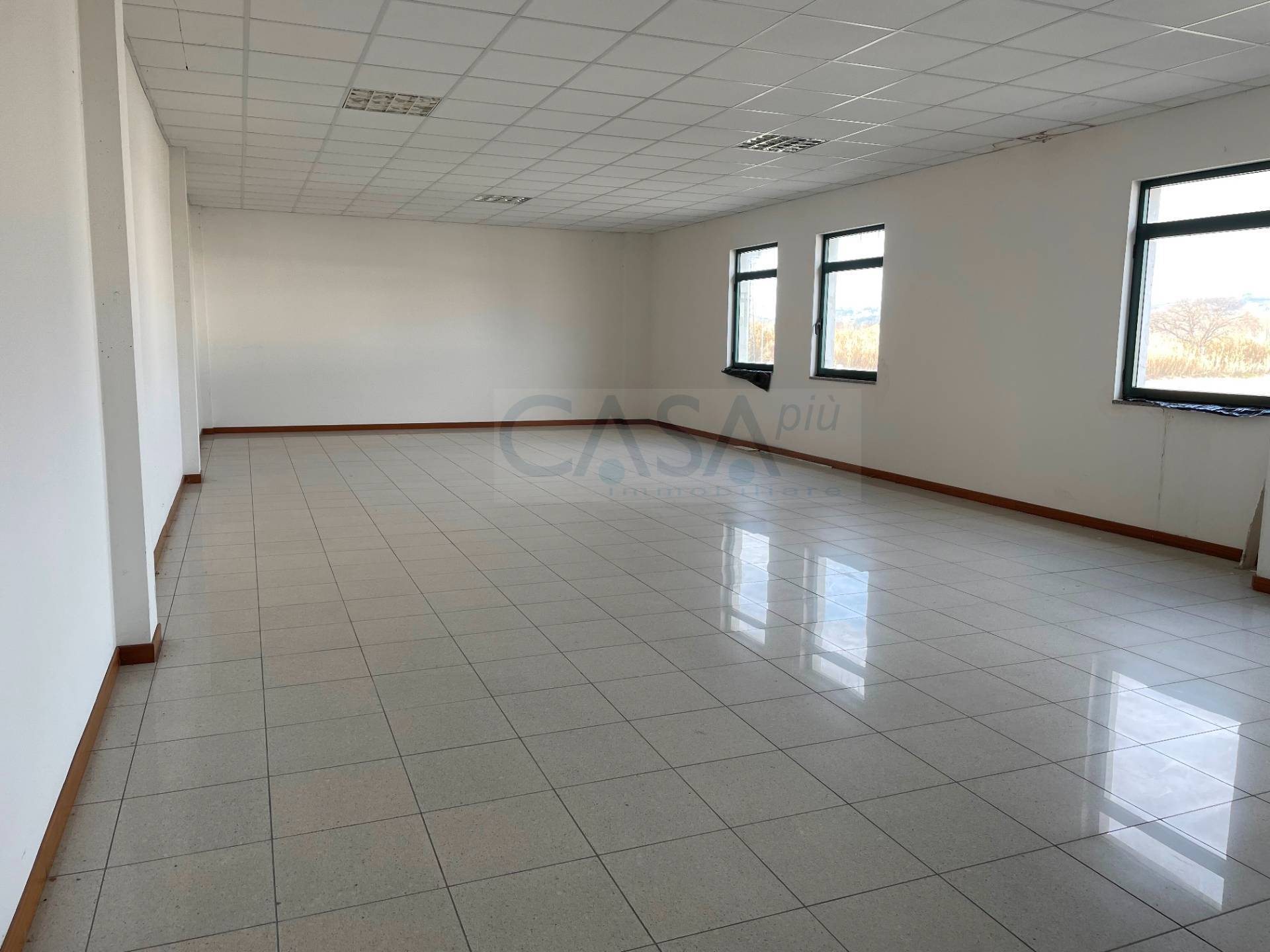 Capannone in affitto a Controguerra