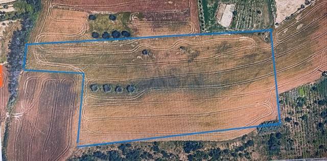Terreno Agricolo in vendita a Castel di Lama