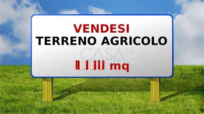 Terreno Agricolo in vendita a Castel di Lama