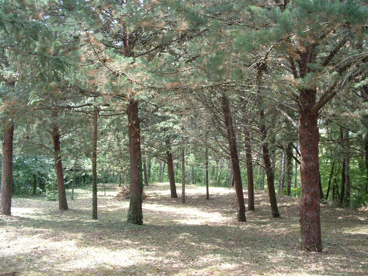 Rustico in vendita a Fabriano