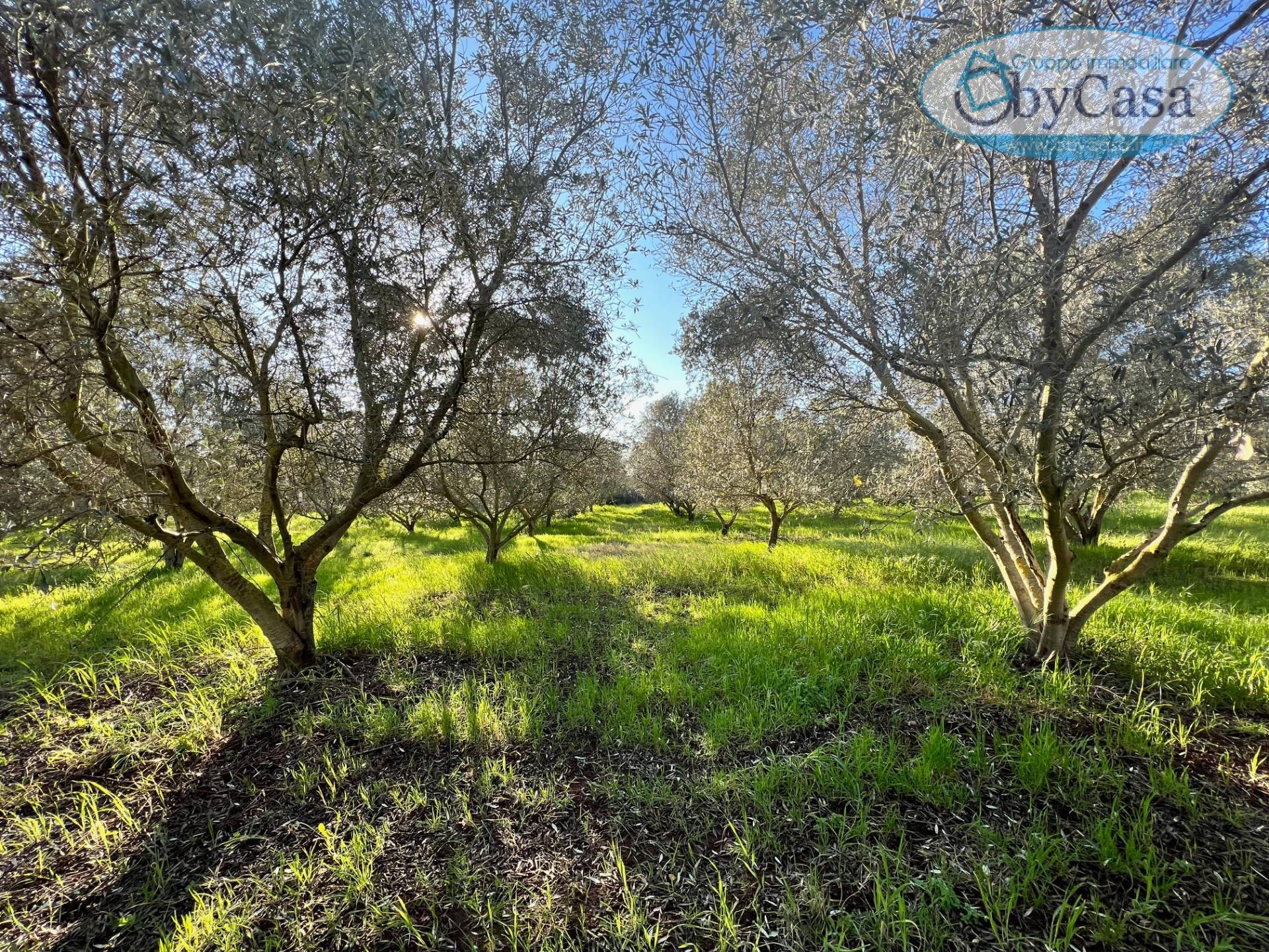 Terreno Agricolo in vendita a Ladispoli