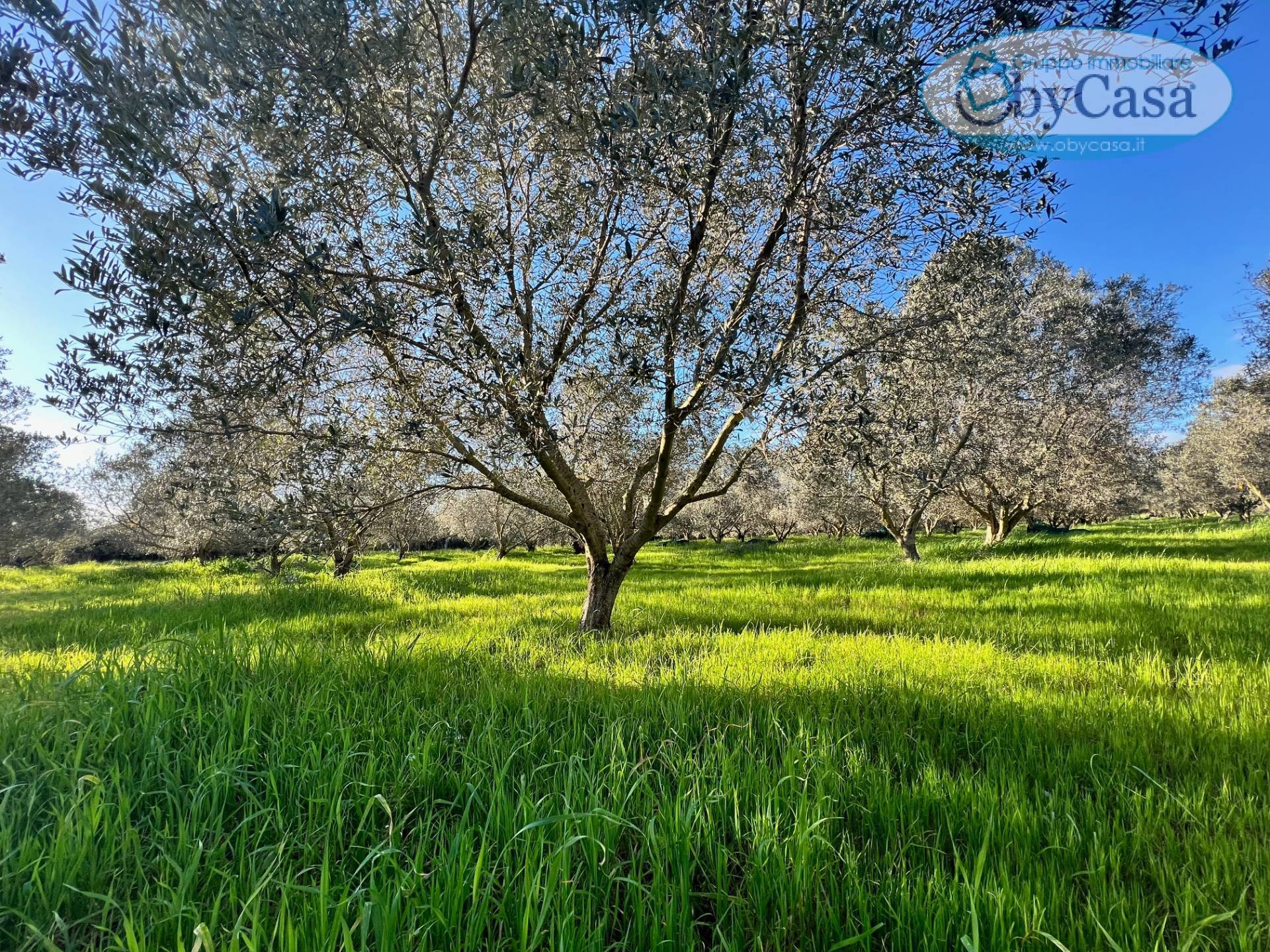 Terreno Agricolo in vendita a Ladispoli