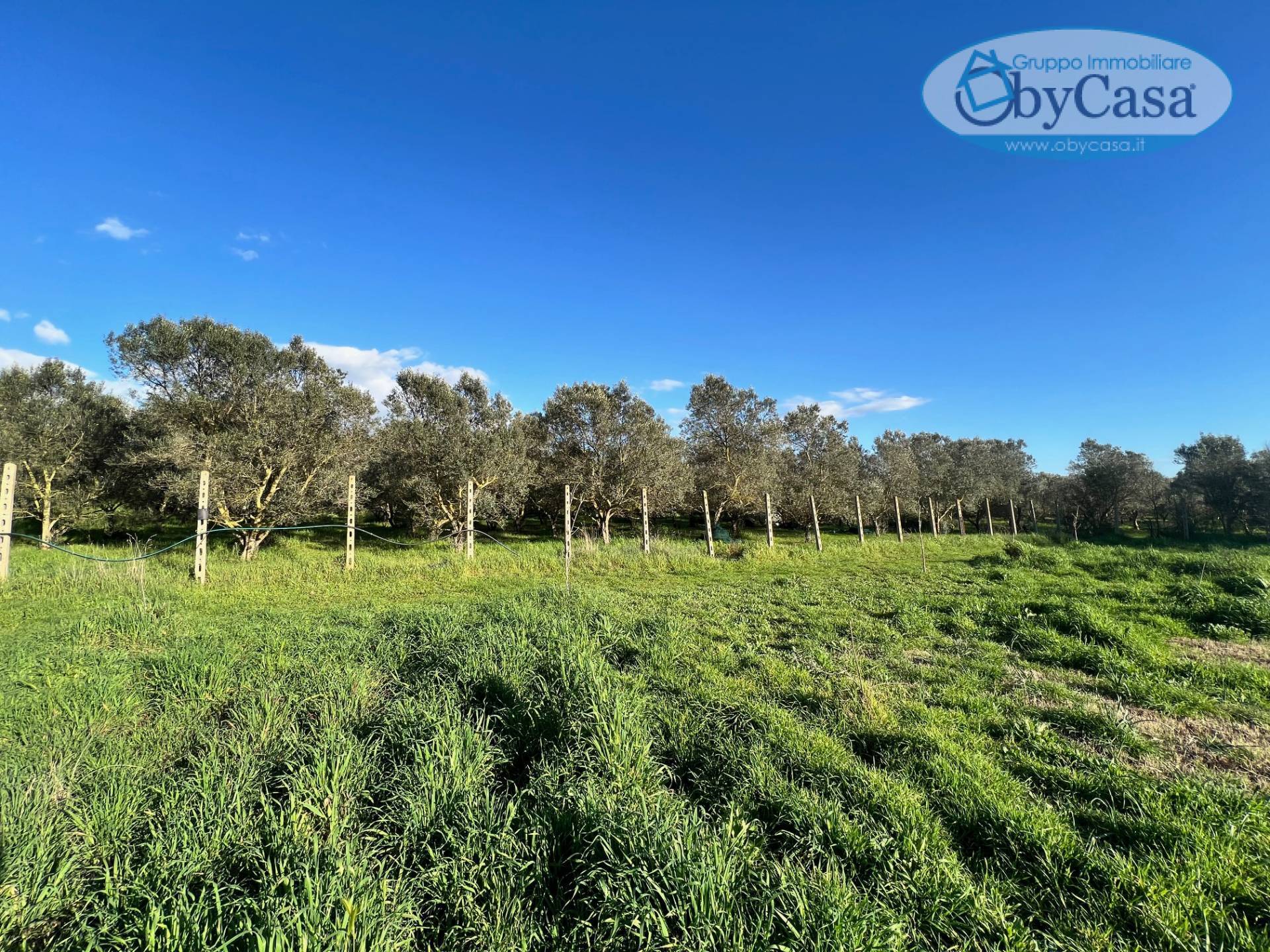 Terreno Agricolo in vendita a Ladispoli