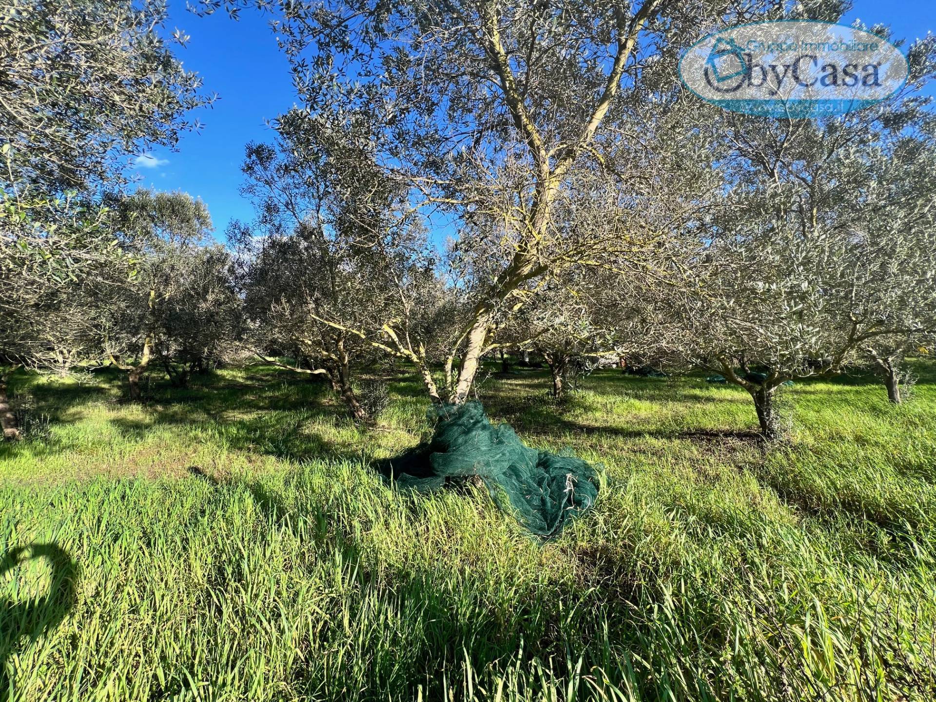 Terreno Agricolo in vendita a Ladispoli