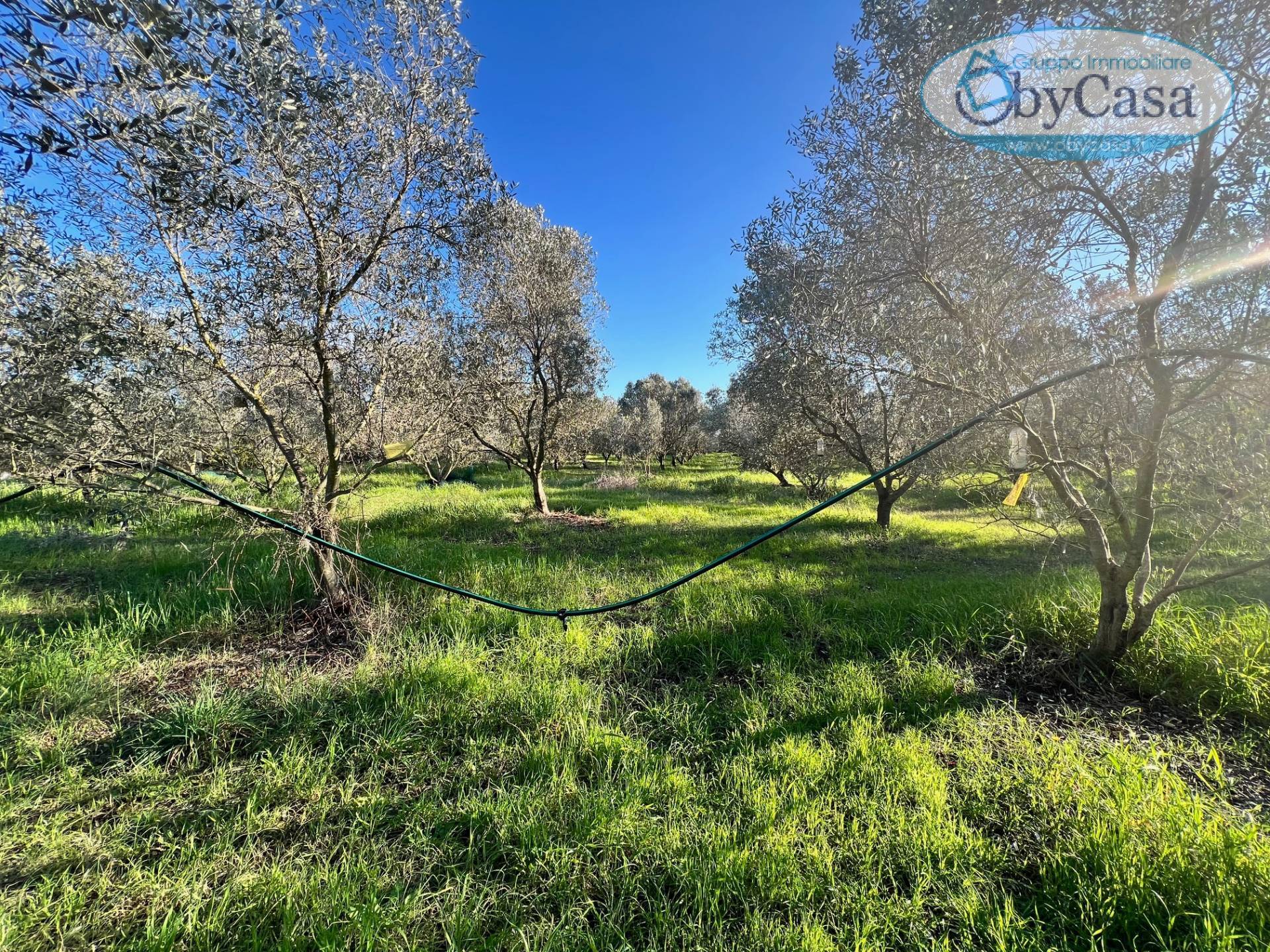 Terreno Agricolo in vendita a Ladispoli