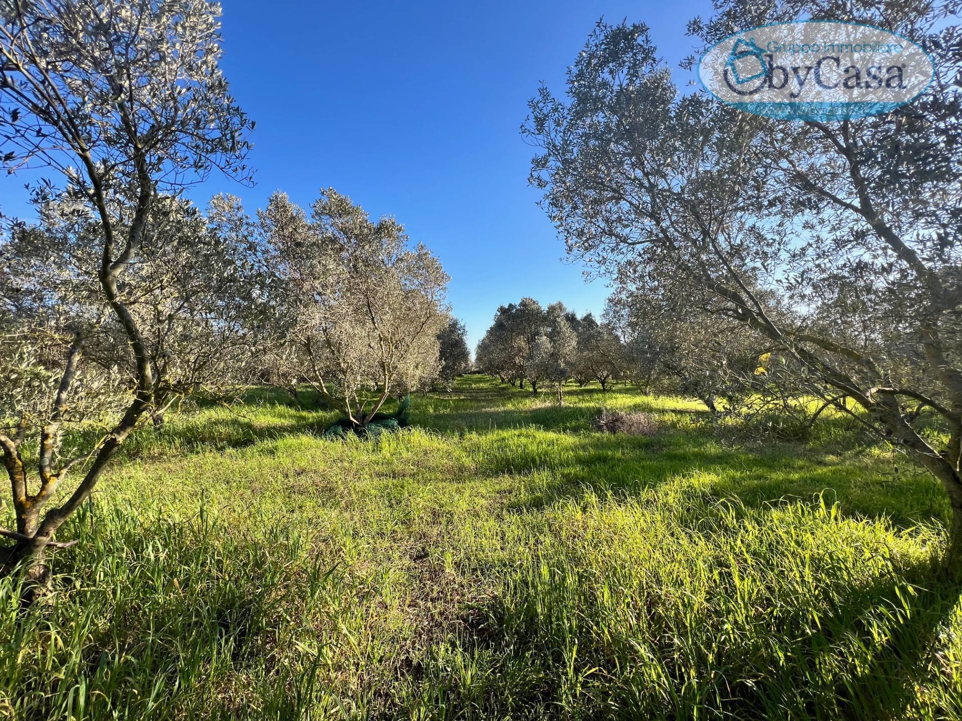 Terreno Agricolo in vendita a Ladispoli