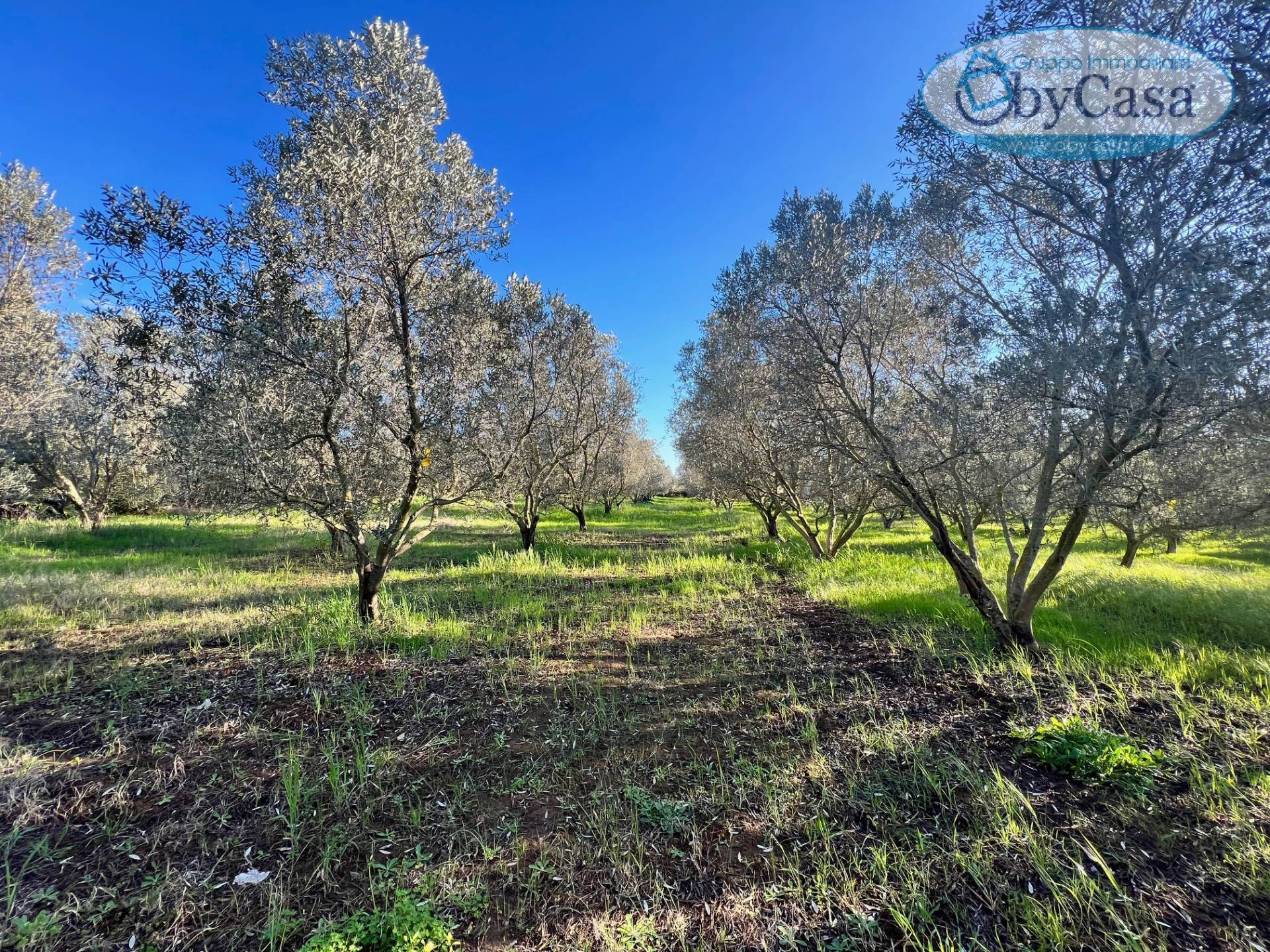 Terreno Agricolo in vendita a Ladispoli