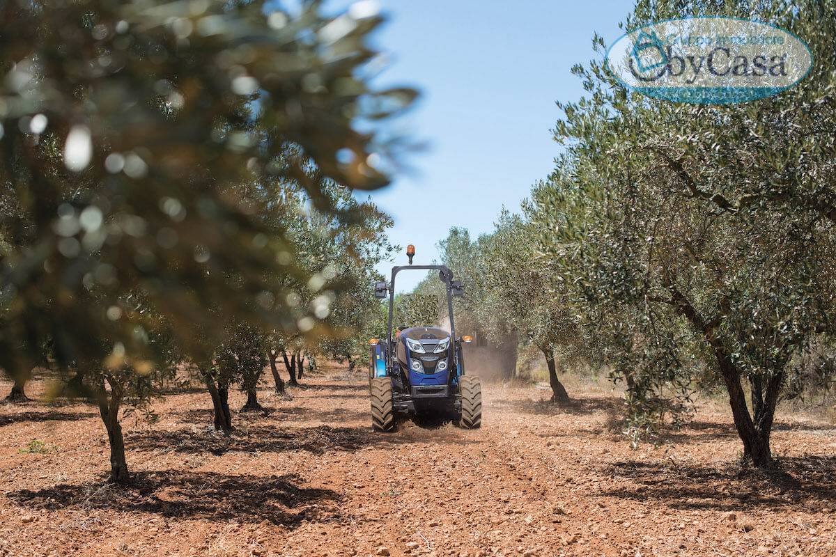 Terreno Agricolo in vendita a Ladispoli