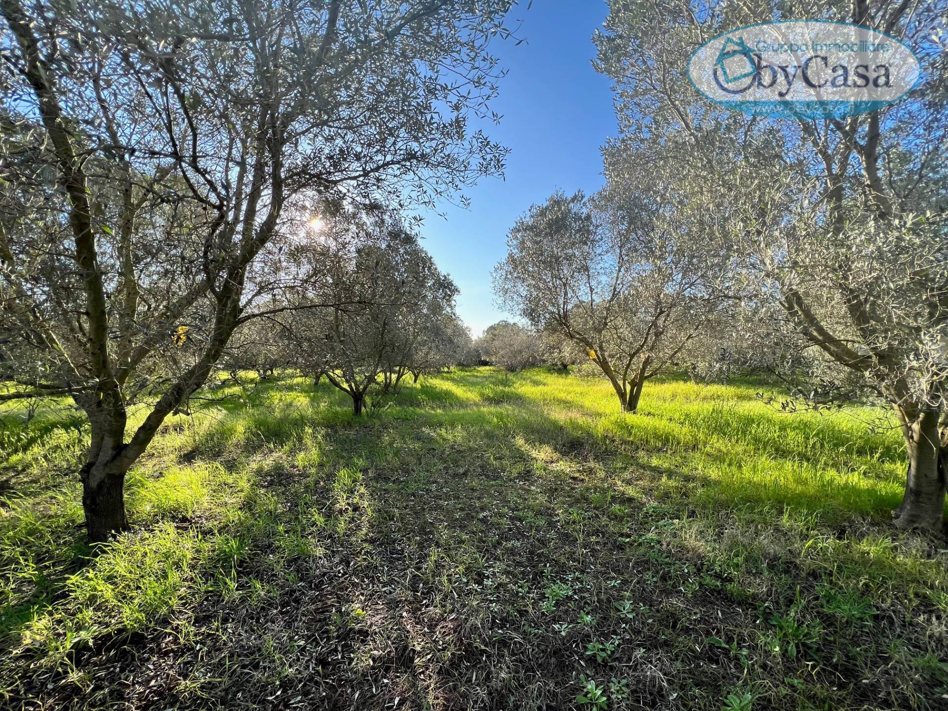 Terreno Agricolo in vendita a Ladispoli