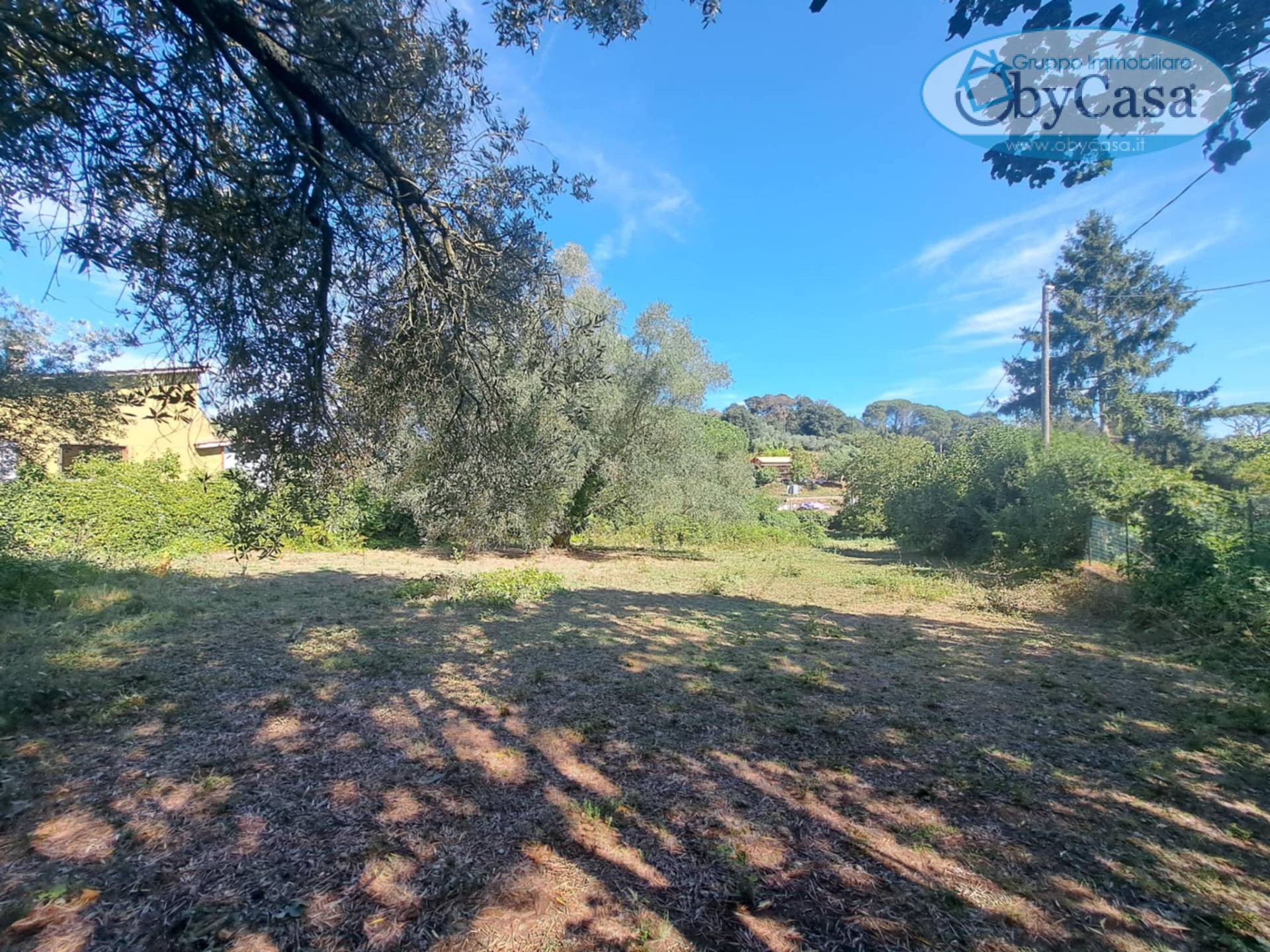 Terreno Agricolo in vendita a Manziana