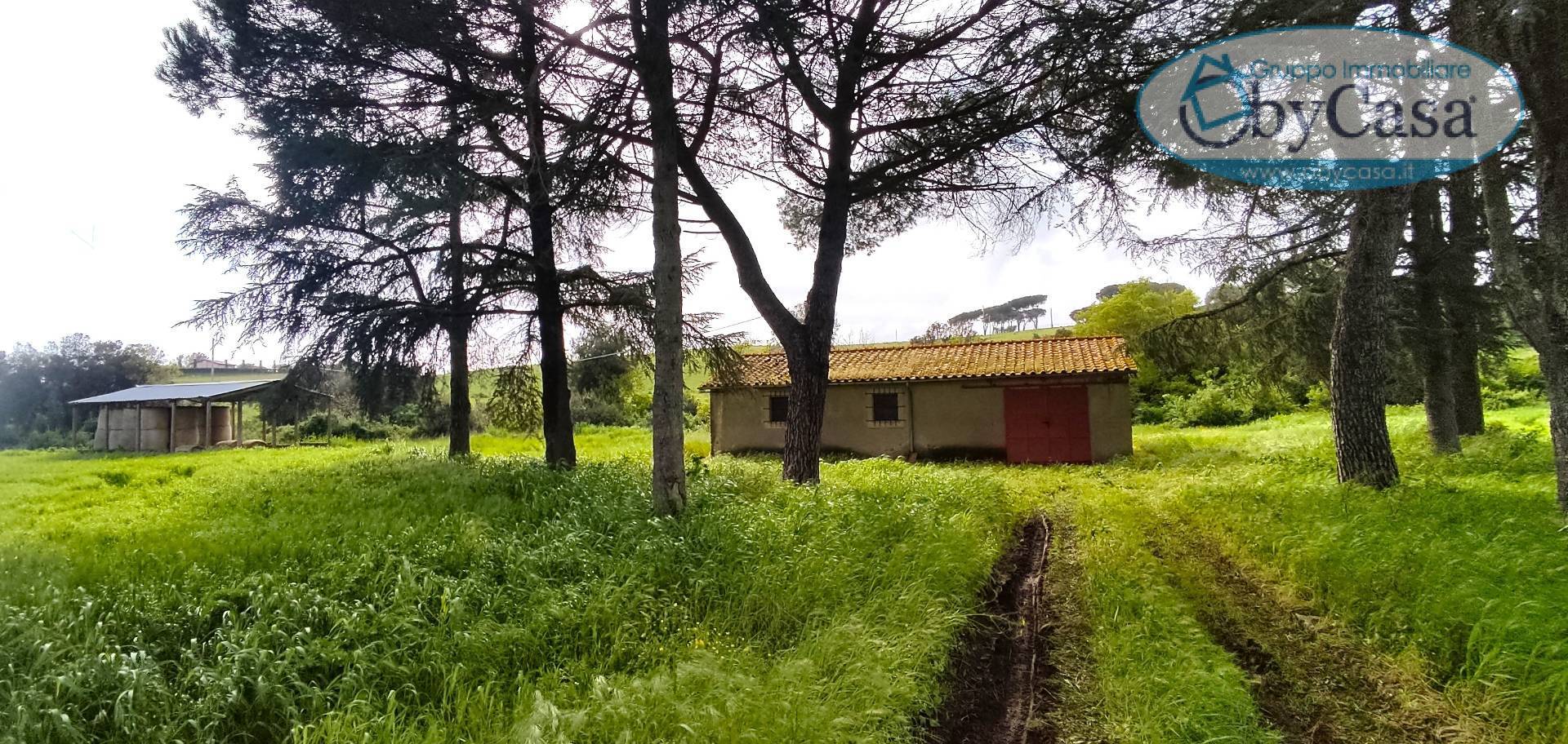 Terreno Agricolo in vendita a Bracciano, Castel Giuliano