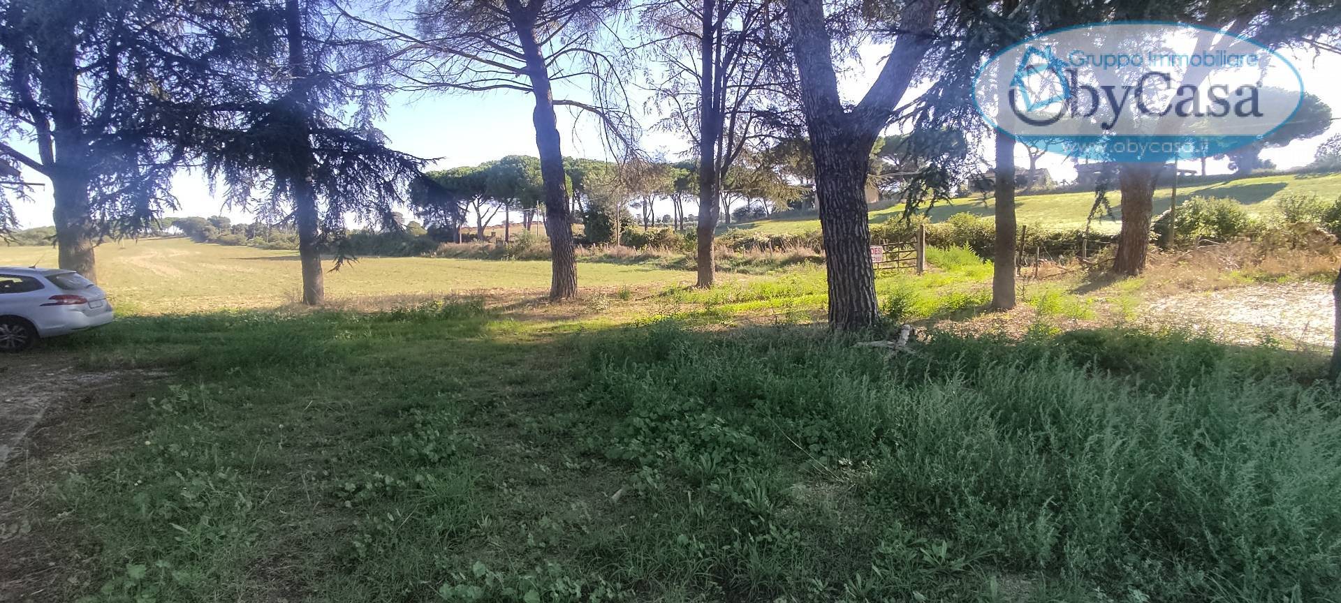 Terreno Agricolo in vendita a Bracciano, Castel Giuliano