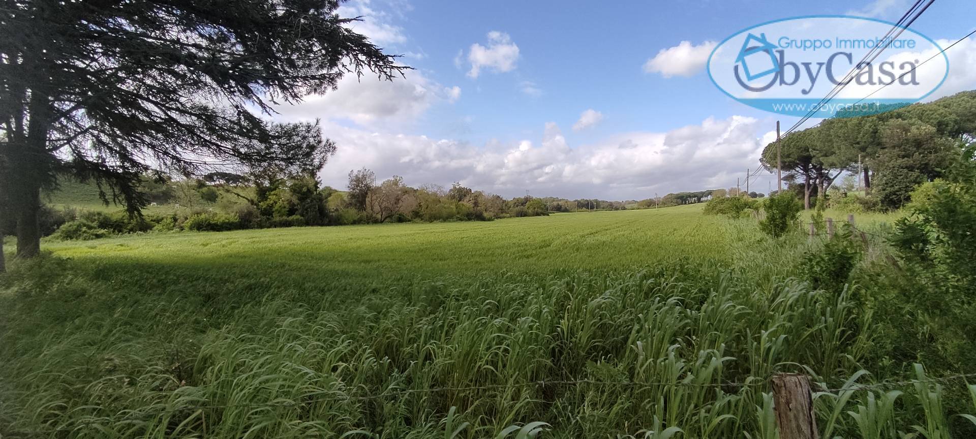 Terreno Agricolo in vendita a Bracciano, Castel Giuliano