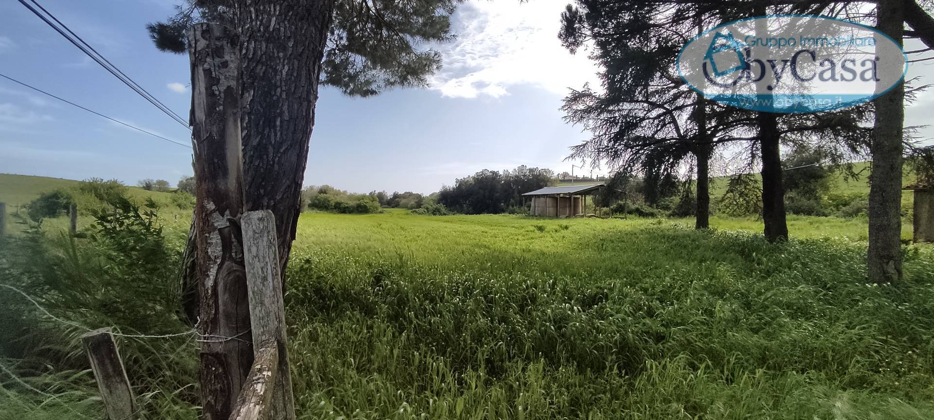 Terreno Agricolo in vendita a Bracciano, Castel Giuliano