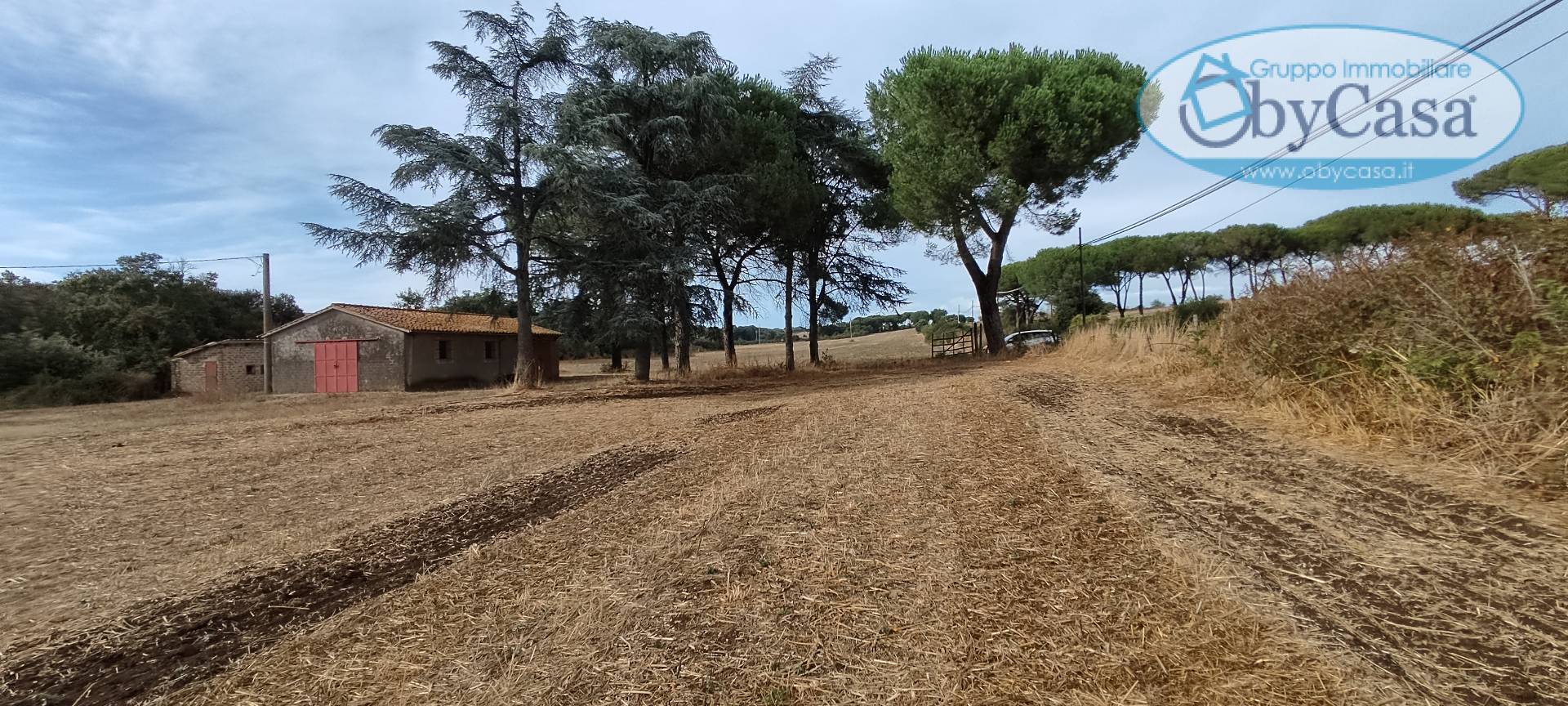 Terreno Agricolo in vendita a Bracciano, Castel Giuliano