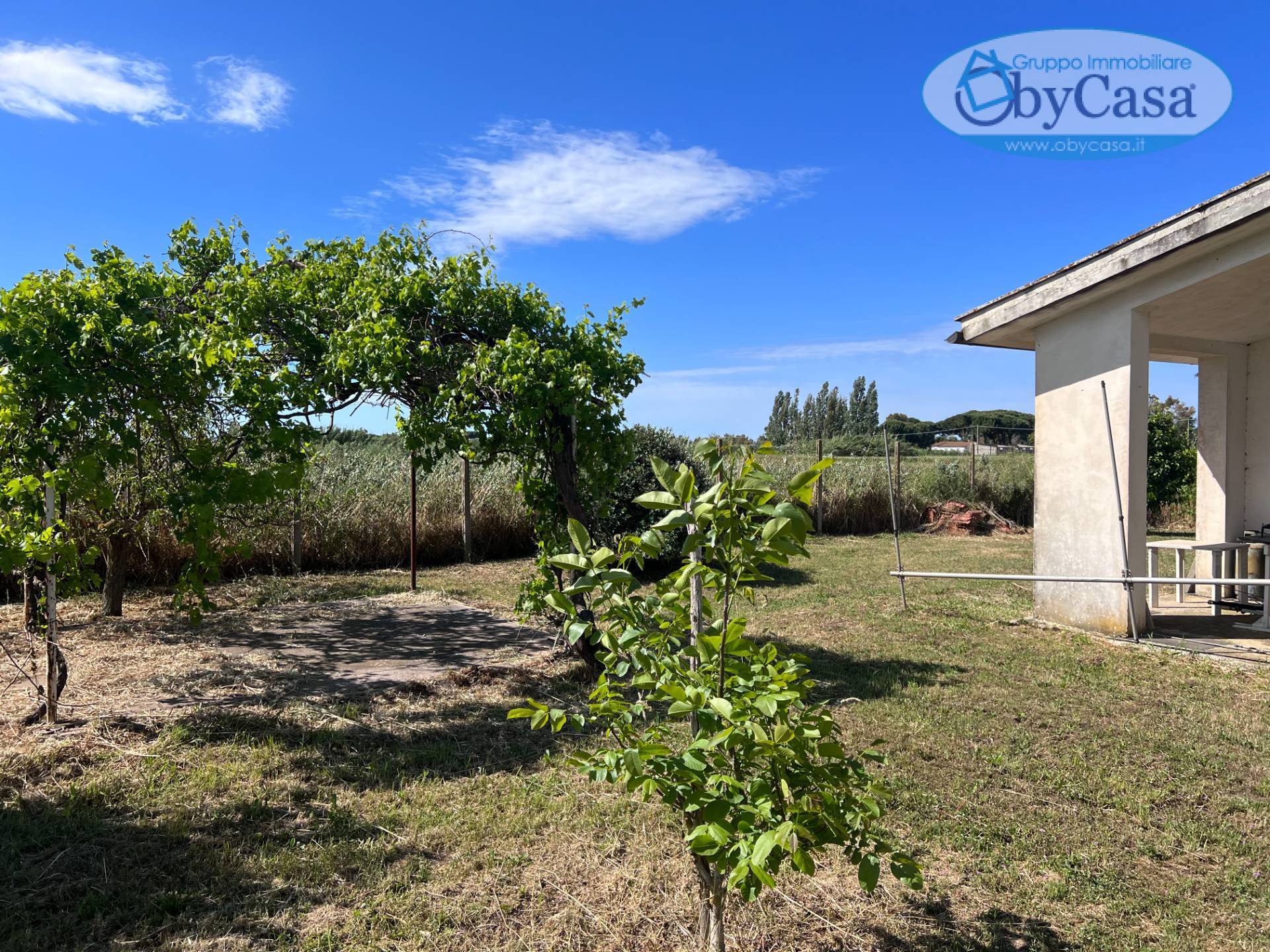 Casa Indipendente in vendita a Tarquinia