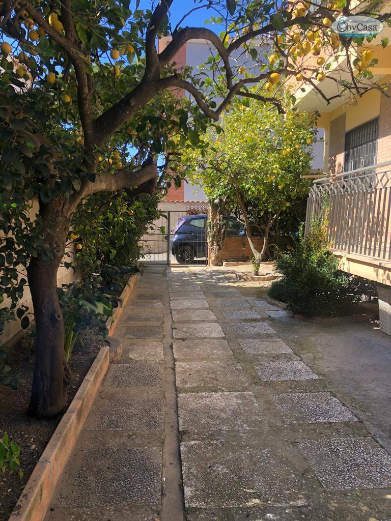 Appartamento 3 locali in affitto a Santa Marinella, Centrale - Stazione