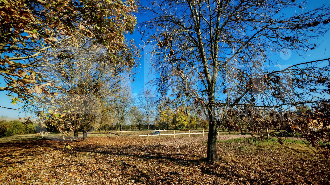 Terreno Edificabile in vendita a San Giovanni in Persiceto