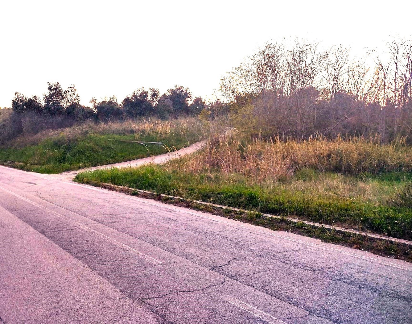Terreno Agricolo in vendita a Miglianico