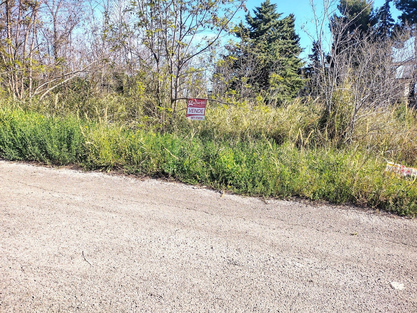 Terreno Agricolo in vendita a Miglianico