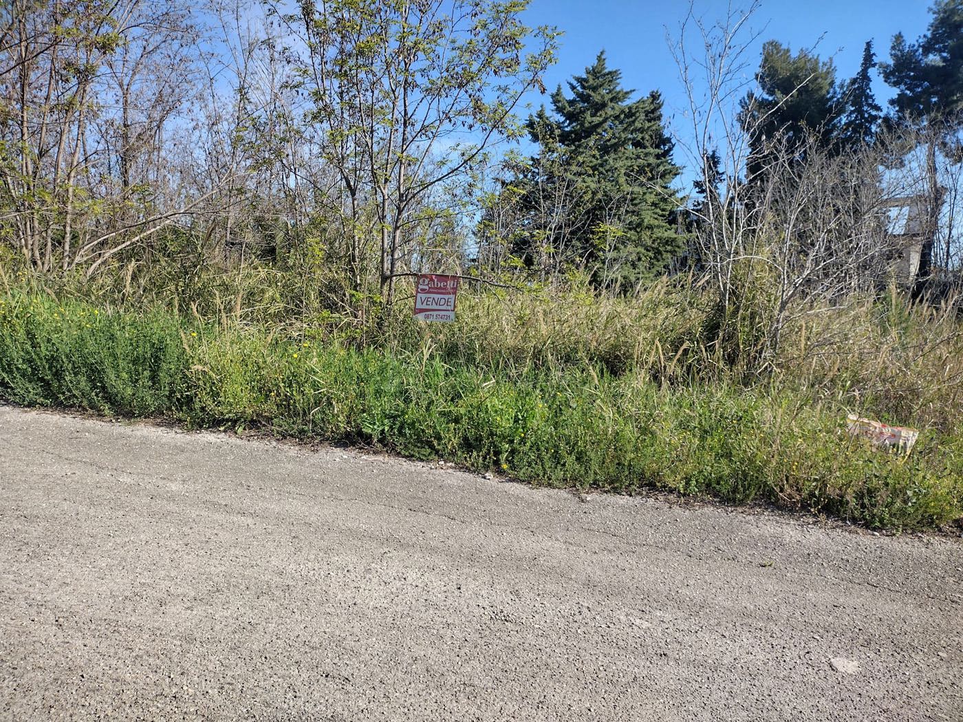 Terreno Agricolo in vendita a Miglianico