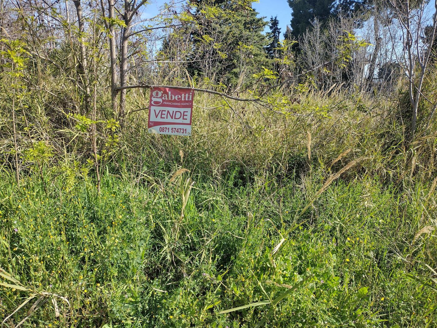 Terreno Agricolo in vendita a Miglianico