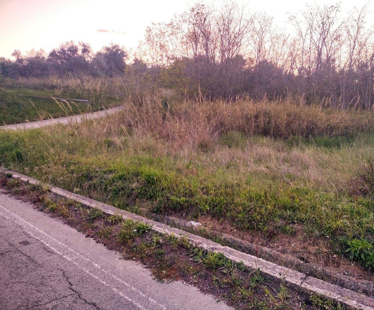 Terreno Agricolo in vendita a Miglianico