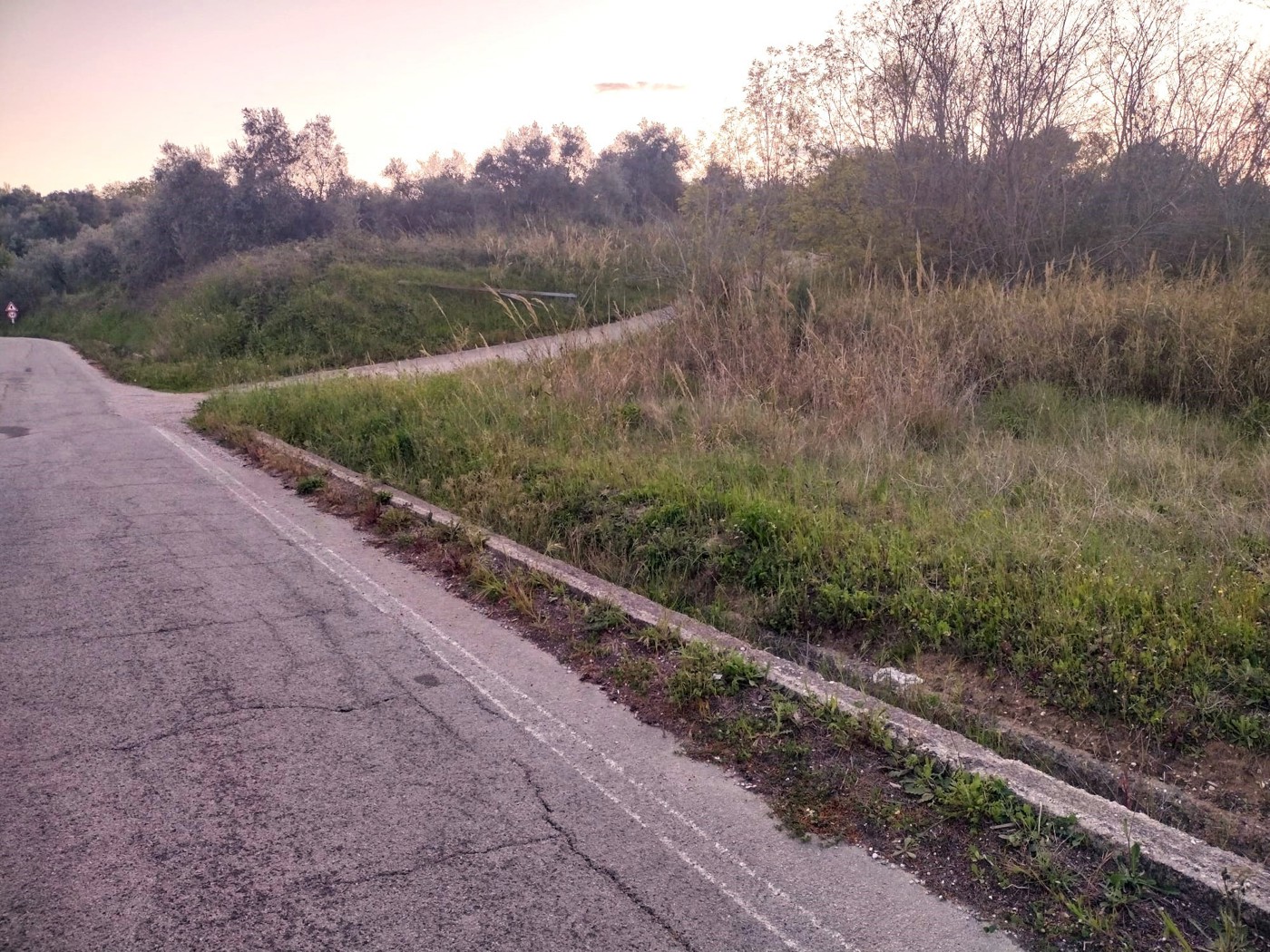 Terreno Agricolo in vendita a Miglianico