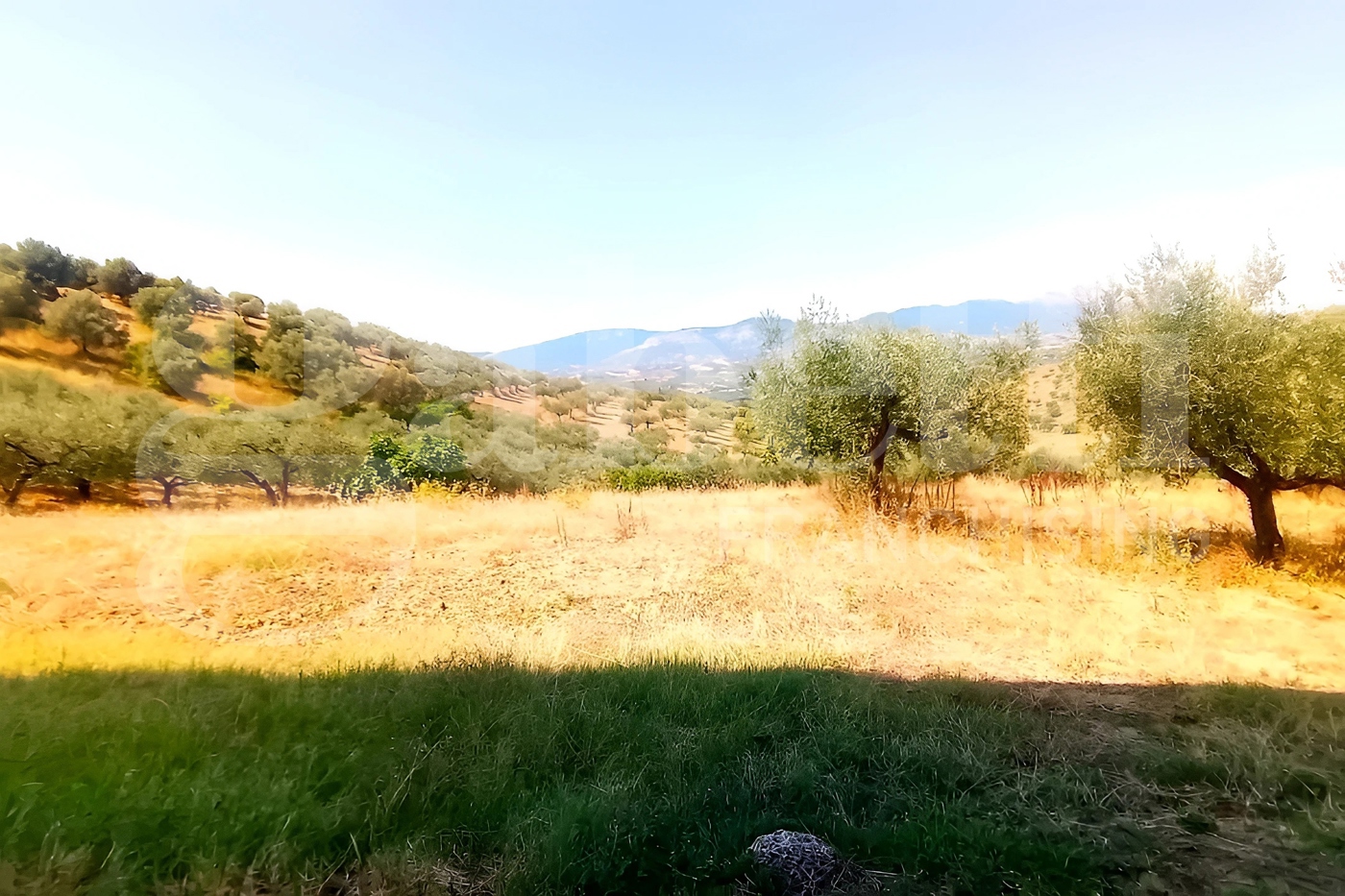 Casa indipendente con giardino a Pianella