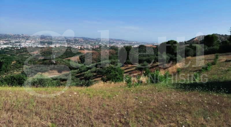 immagine annuncio 3 di 6