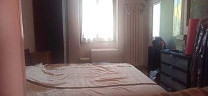 Casa indipendente in affitto a Dorno