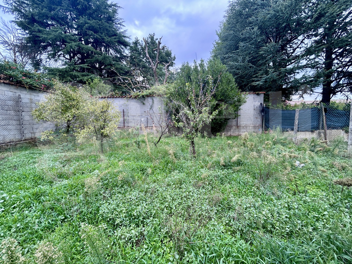 Casa indipendente con giardino a Dorno