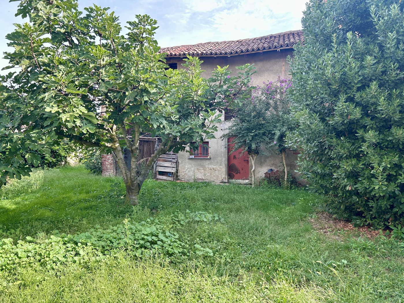 Casa indipendente con giardino a Dorno