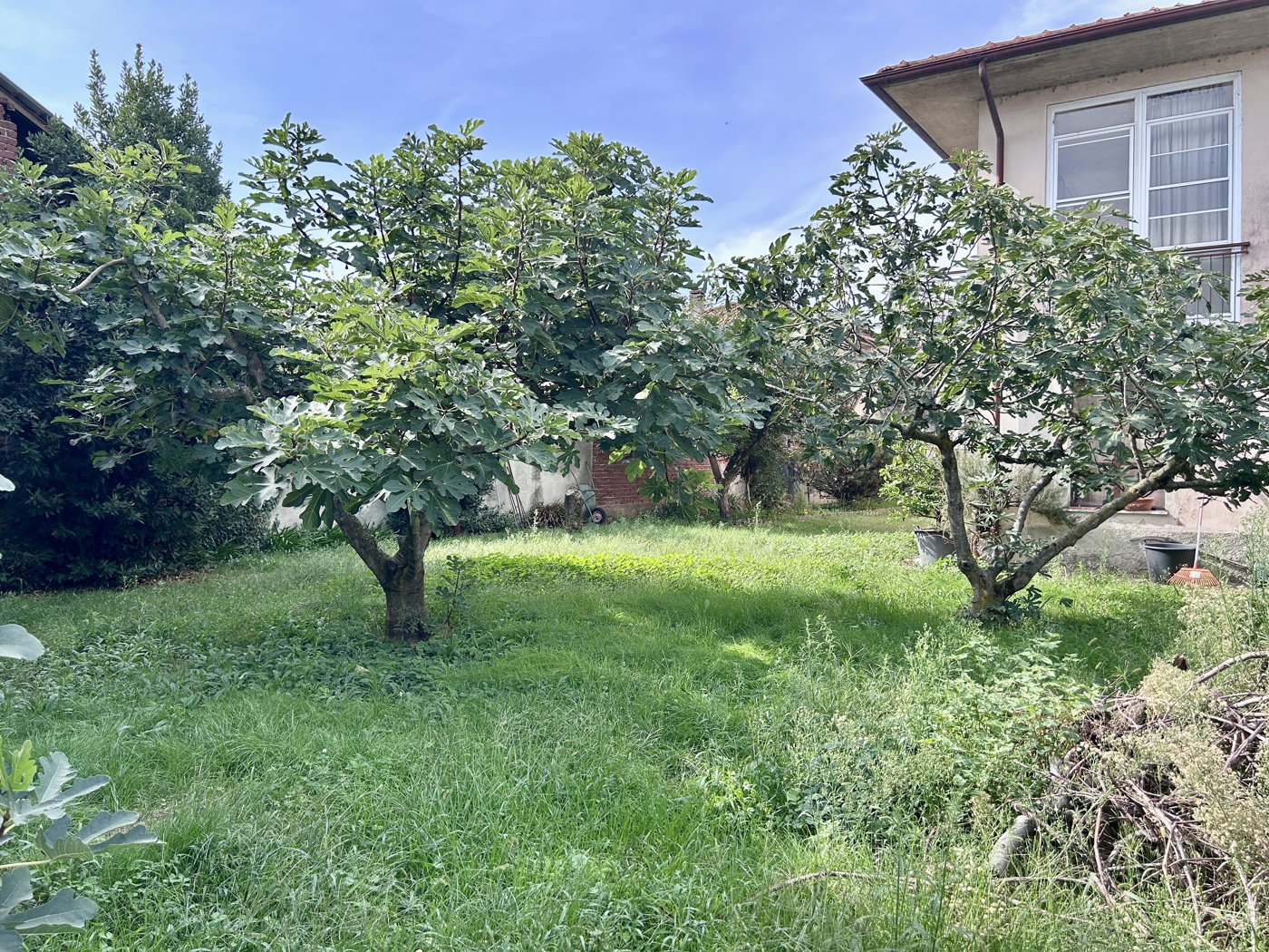 Casa indipendente con giardino a Dorno